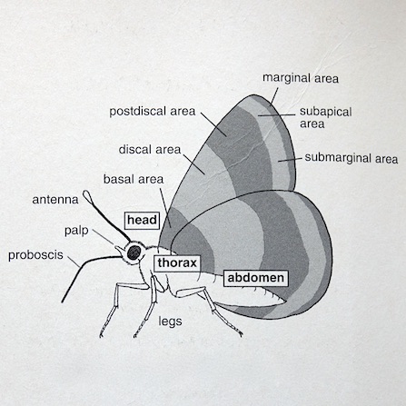 structure 3
